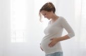 Calculer semaine aménorrhée date de grossesse